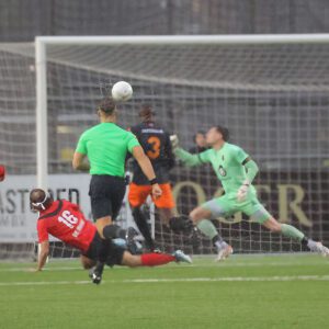 AFC – HHC Hardenberg