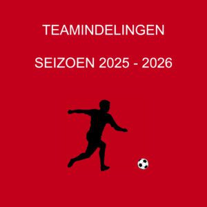 Teamindelingen